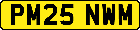 PM25NWM