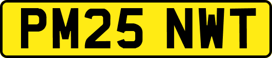 PM25NWT