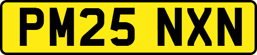 PM25NXN