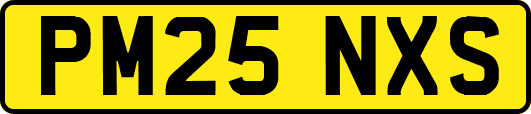PM25NXS
