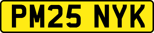 PM25NYK