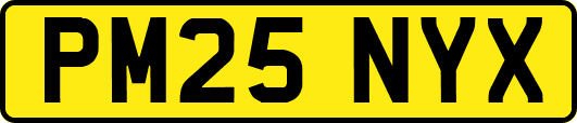 PM25NYX