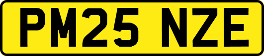 PM25NZE