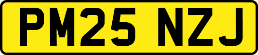 PM25NZJ