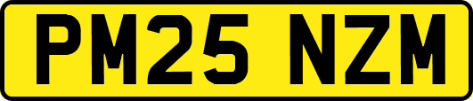 PM25NZM