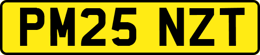 PM25NZT