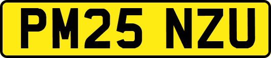 PM25NZU