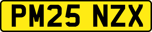 PM25NZX