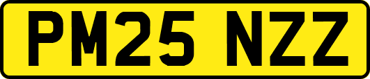 PM25NZZ