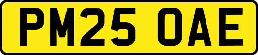 PM25OAE