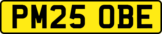 PM25OBE
