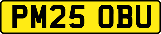 PM25OBU