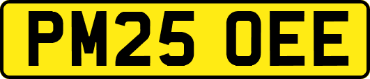 PM25OEE