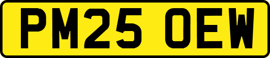 PM25OEW