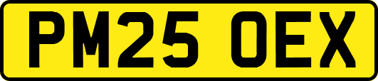 PM25OEX