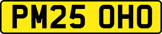 PM25OHO