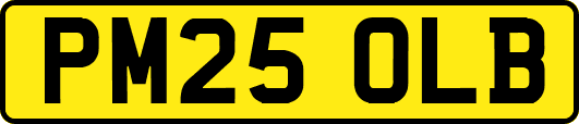 PM25OLB