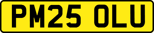 PM25OLU