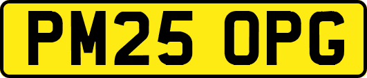 PM25OPG