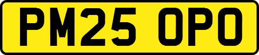 PM25OPO
