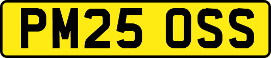 PM25OSS