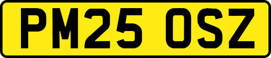 PM25OSZ