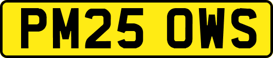 PM25OWS
