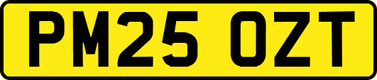 PM25OZT