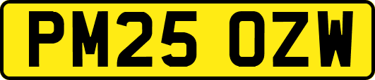 PM25OZW