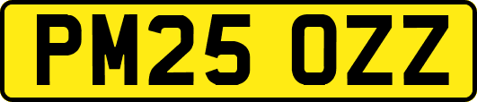 PM25OZZ