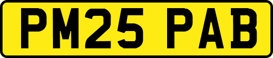 PM25PAB