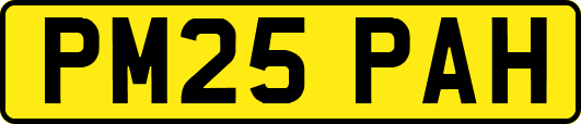 PM25PAH