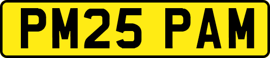 PM25PAM