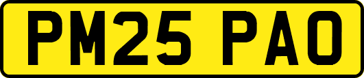 PM25PAO