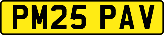 PM25PAV