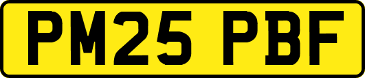 PM25PBF