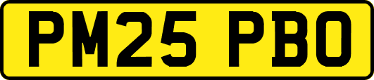 PM25PBO