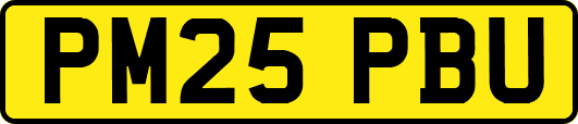 PM25PBU