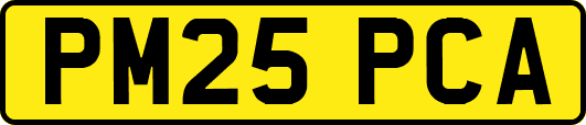 PM25PCA