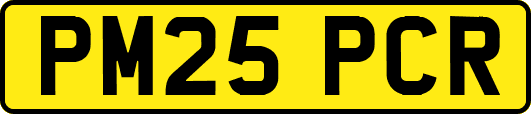 PM25PCR