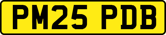 PM25PDB