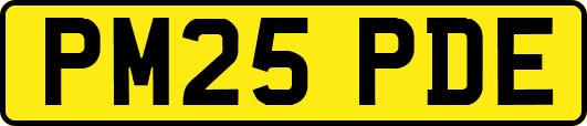 PM25PDE