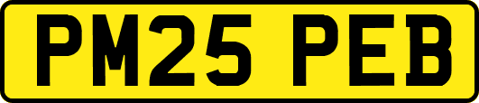 PM25PEB