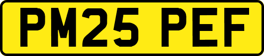 PM25PEF