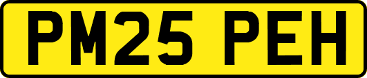 PM25PEH