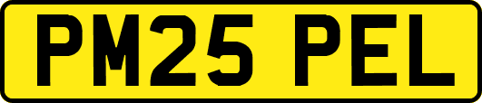PM25PEL