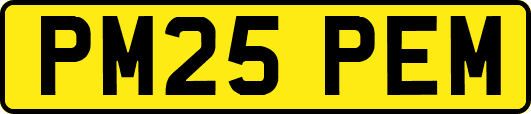 PM25PEM
