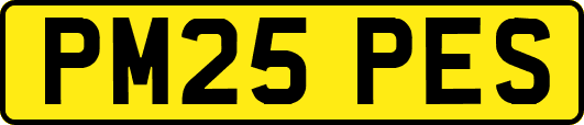 PM25PES