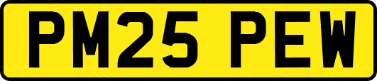 PM25PEW