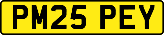 PM25PEY